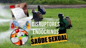 Disruptores endócrinos e saúde sexual