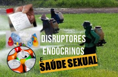 Desreguladores endócrinos e impacto na saúde sexual