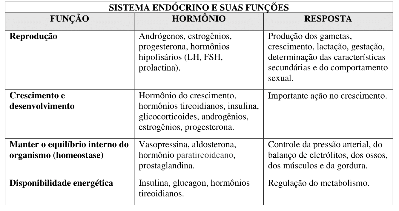 Sistema endócrino e suas funções